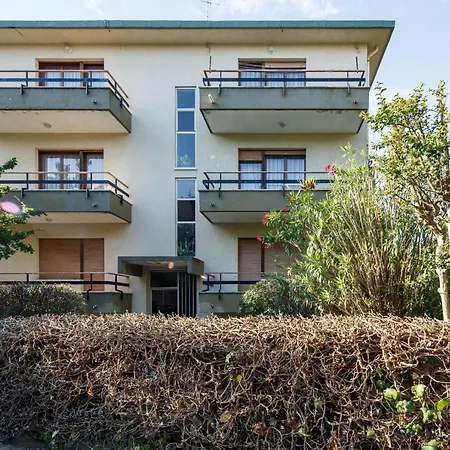 Calmo 3sx 베니스-리도